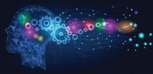electrical and hydraulic knowledge